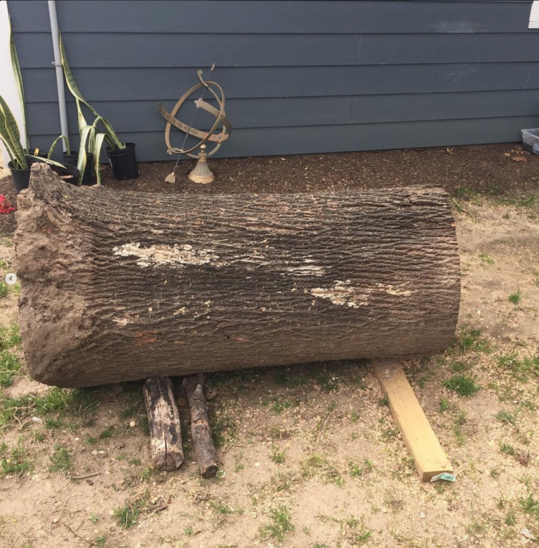 From a Spring Lake Heights Tree to a Maple Serving Board by Surfwood Solutions, Monmouth County, NJ